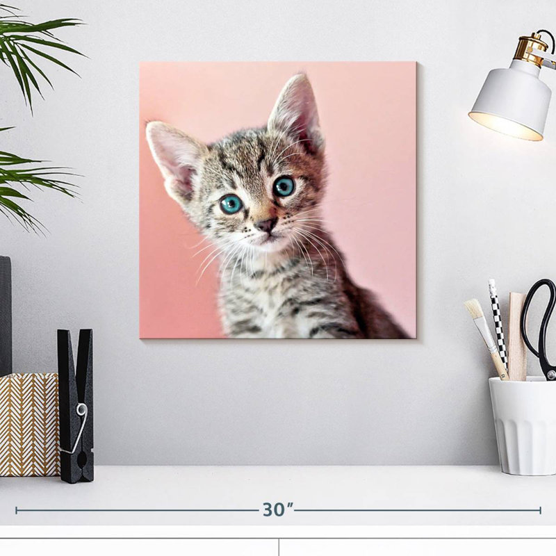 Crowle Staring Cat, 16" H x 16" W