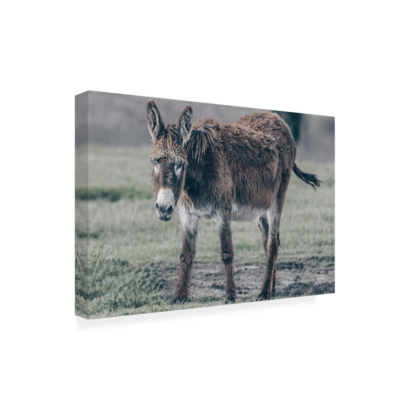 Art mural sur toile tendue - «Donkey Summer III» de Nathan Larson pour décoration de salon, de chambre à coucher ou de bureau - 16 x 24