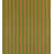 Surf Club Orange