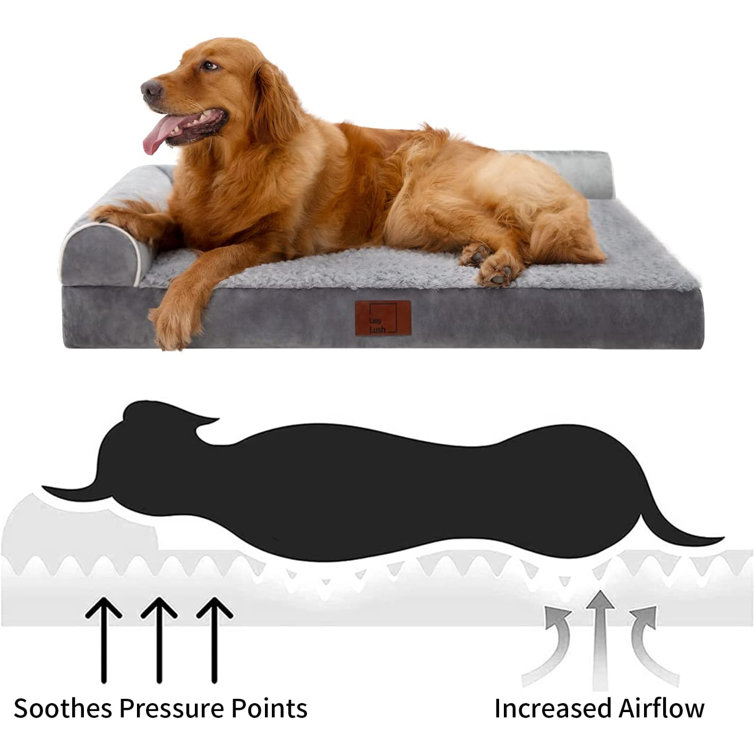 Tucker Murphy Pet™ Waterproof Orthopedic Dog Bed Foam Dog Beds For Extra Large  Dogs Durable Dog Sofa The Pet Bed Washable Removable Cover With Zipper And  Non-Slip Bottom Bolster XL Large Dog