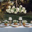 Jasmira Round Garden Chandelier