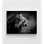 Le mâle par Xavier A, photographie de gros chat, photo d'animal sauvage, impression d'affiche de photo de lion safari, décoration murale maison féline