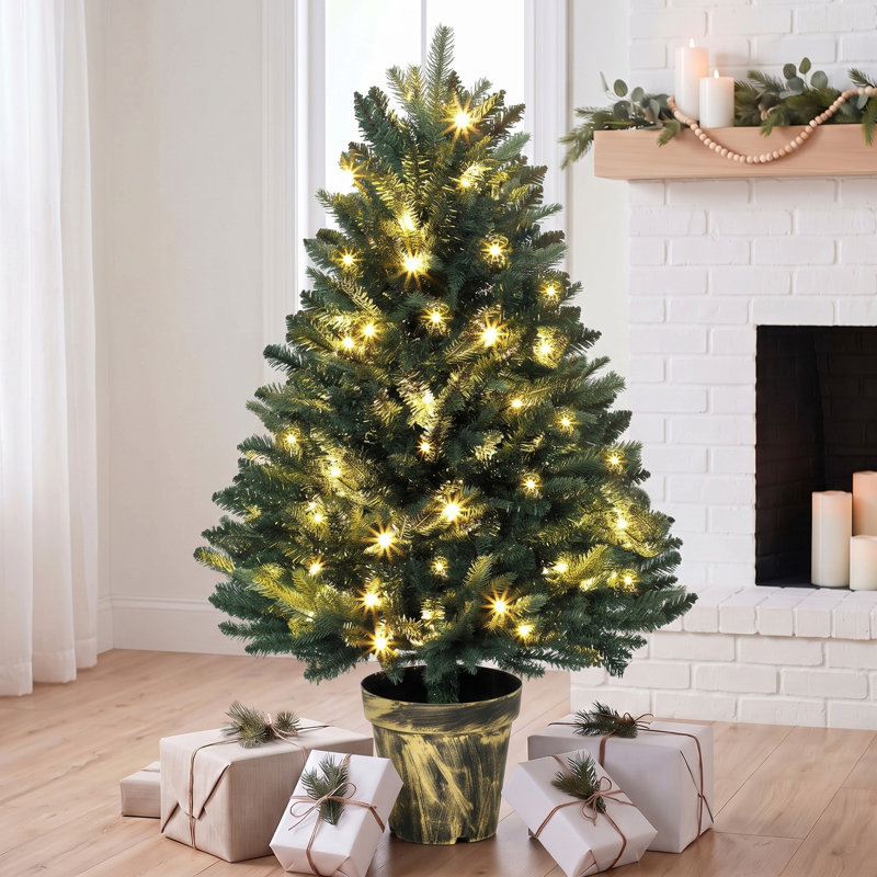 Christmas Tree with Lights