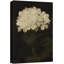 Flower Blossom «White Hydrangea Floral Bouquet Classic» sur-99141738-99141742