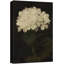 Flower Blossom «White Hydrangea Floral Bouquet Classic» sur-99141739-99141738