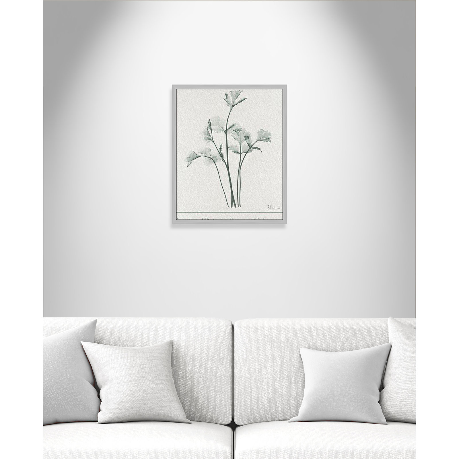 Jeanette "Parsley II" Print by Albert Koetsier, Matte Silver Framed Paper, 25.5" H x 21.5" W x 1.25" D