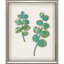 Botanical I Set by THE Studio