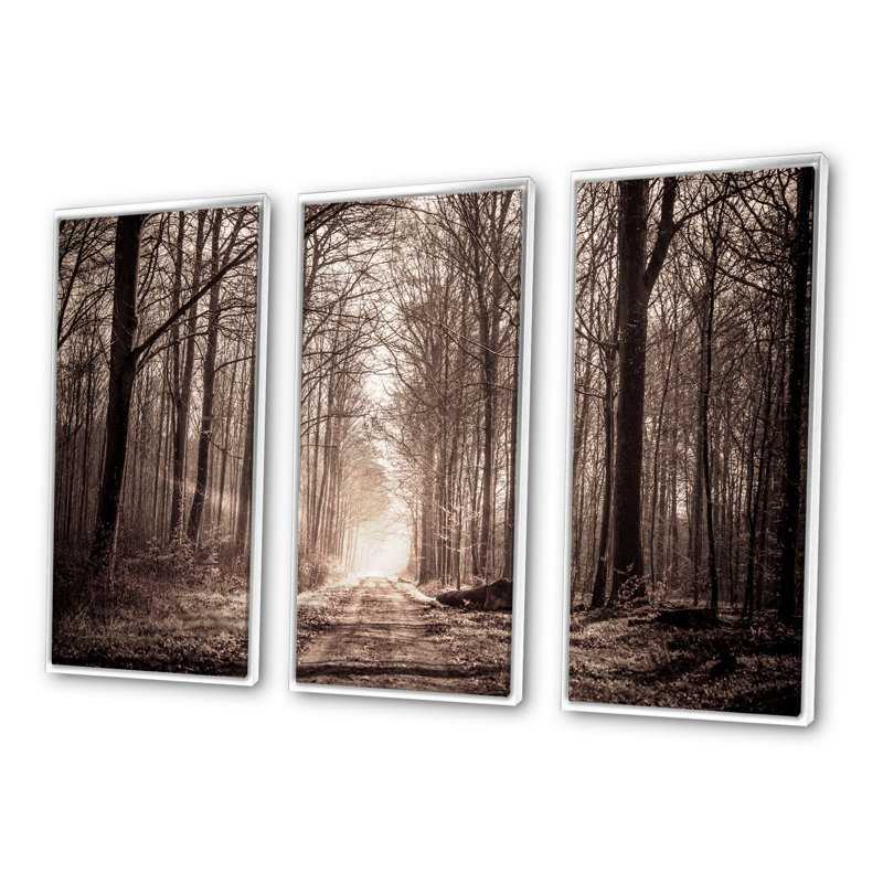 «Forest Trail In Sepia», photographie sur toile flottante 3 pièces, Blanc, H 32 po x l 48 po