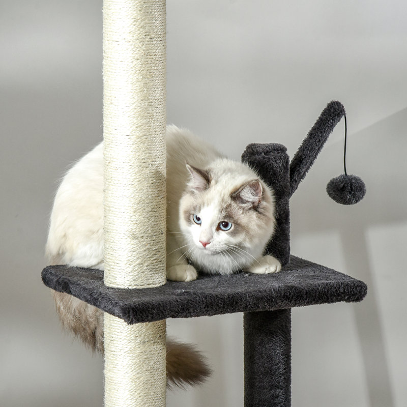 Abri pour chat 106 po: multifonctionnel avec grattoir, planche, pour chats jusqu'à 10 livres, gris foncé