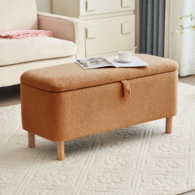 Dayvian 39.3" Storage Ottoman Bench for End of Bed