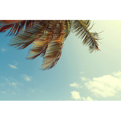 Tropical Island - Wrapped Canvas Print