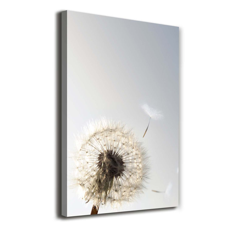 Dandelion - Wrapped Canvas Print