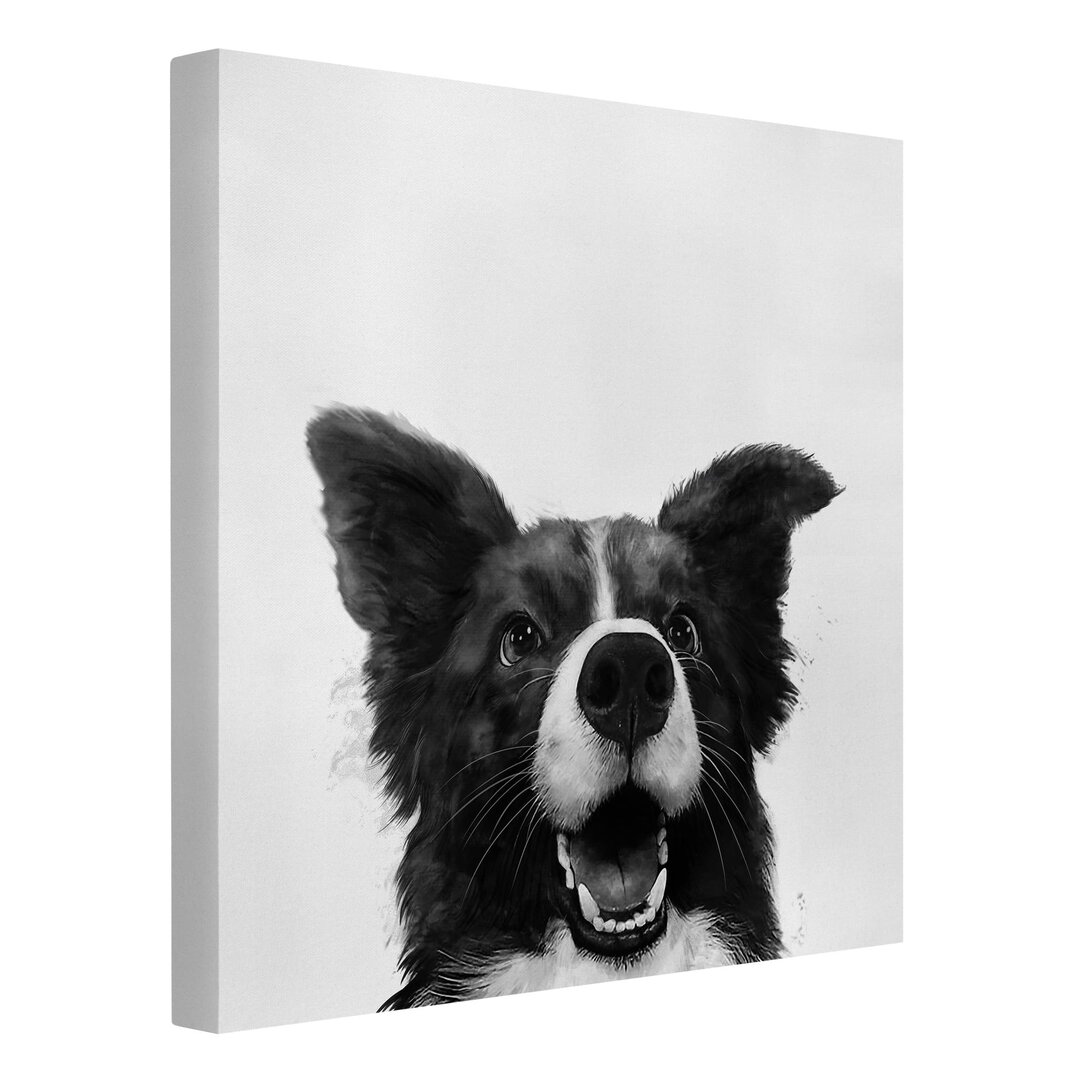 Leinwandbild Hund Border Collie von Laura Graves