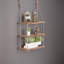 Augst Cart Metal Indoor Outdoor Plant Stand Organiser With 6 Tiers