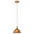 1-Dark brown glass iron dimmable pendant light