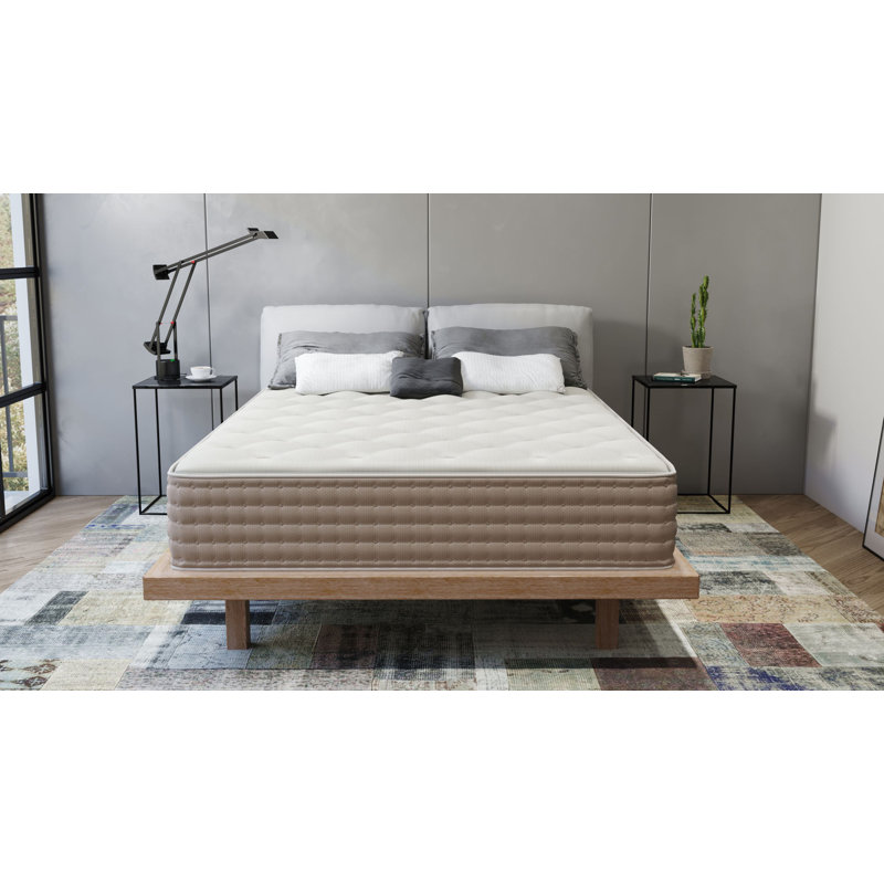 Jackeline 11" Medium Hybrid Latex Mattress, Queen