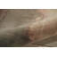 Wool Abstract Area Rug in Cream/Gray/Light Tan-4247653