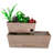 Choute Polystone Water Garden Fountain