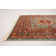 Eesi Oriental Indoor Rug