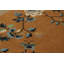 One-of-a-Kind 3'3x7'11 Hand Knotted Area Rug