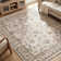 Atherine Oriental Indoor Rug