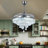 Catskill 42'' Ceiling Fan with LED Lights