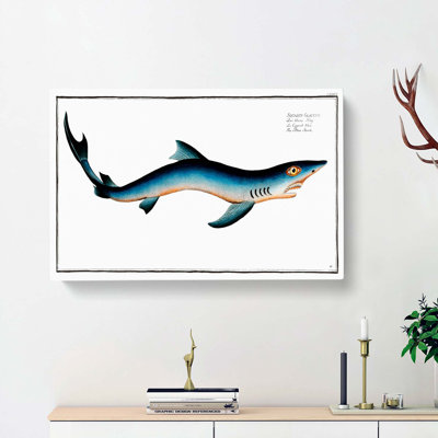 Blue Shark by M.E. Bloch - Wrapped Canvas