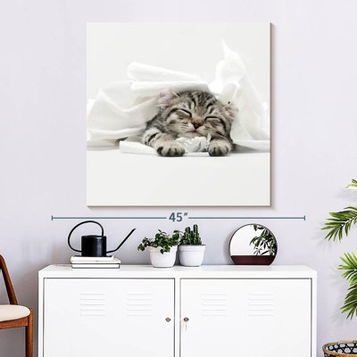 Crowle Cozy Lynx Cat