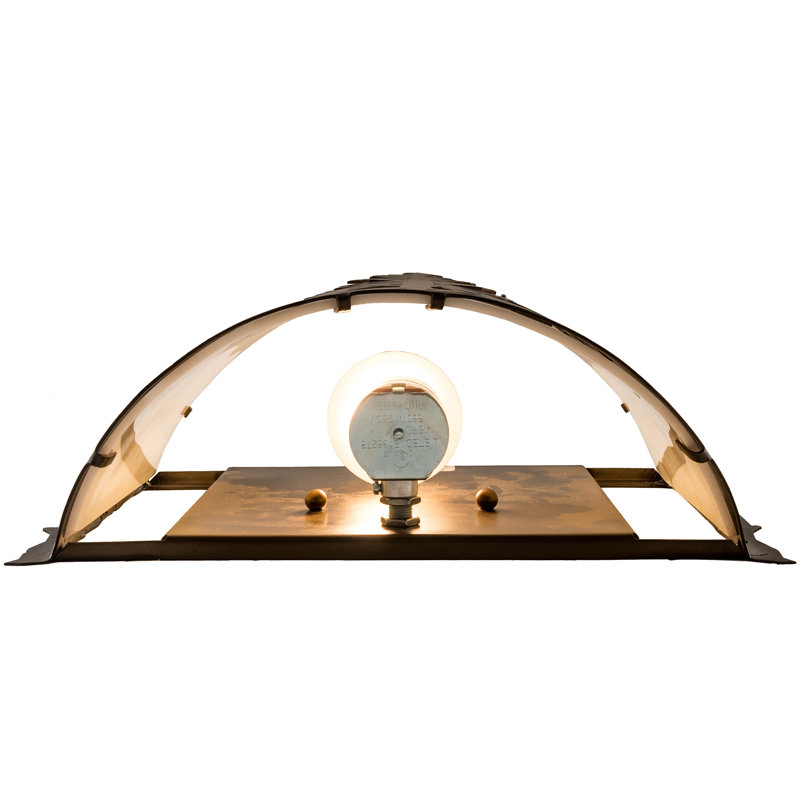 Zeledon 1 - Light Flush Mounted Sconce