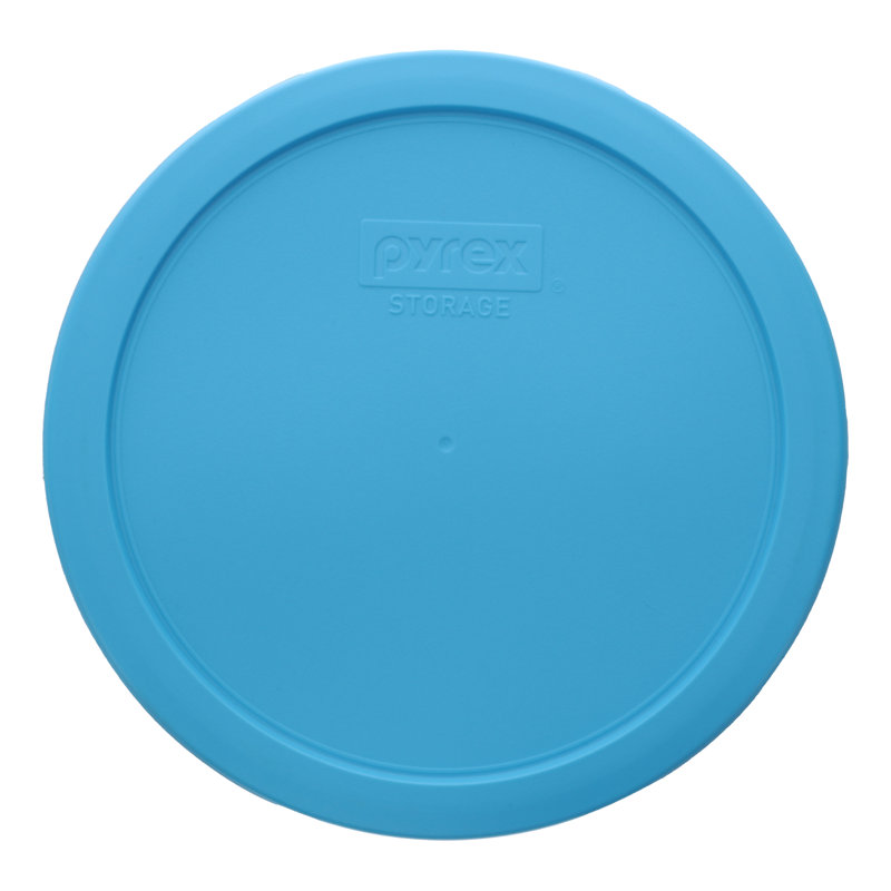 4 Cup Food Storage Container, Blue Pantone