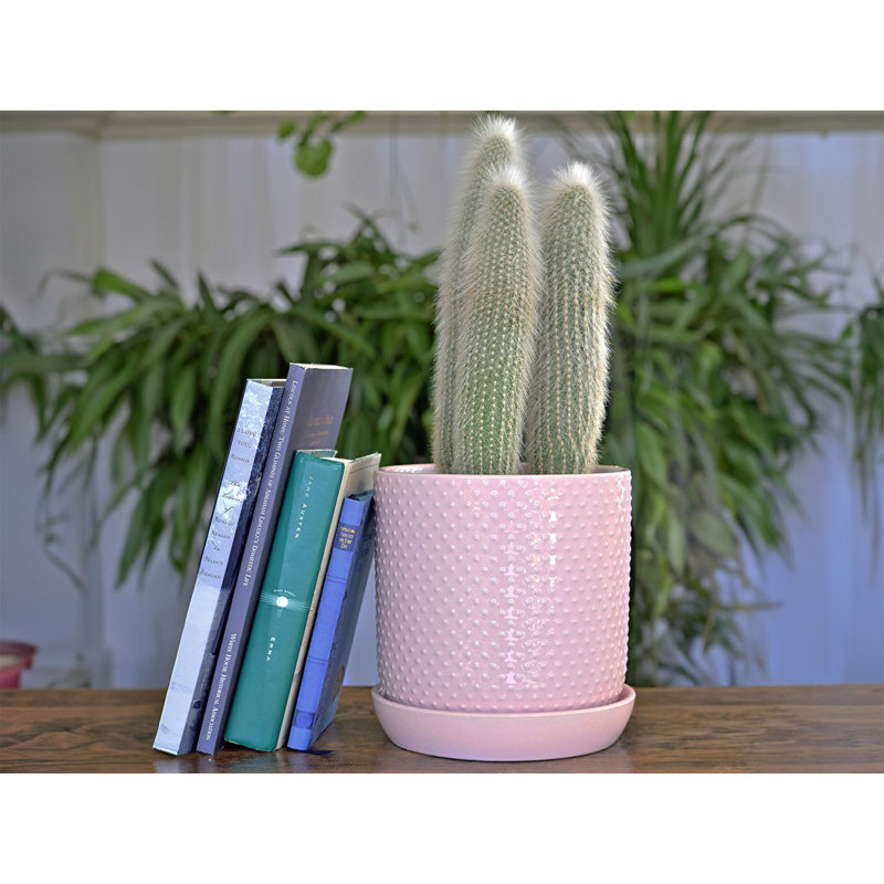 Pot de fleurs, L 11 po x H 11,5 po, Vert pastel