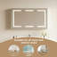 W H Medicine Cabinet Mirror 5