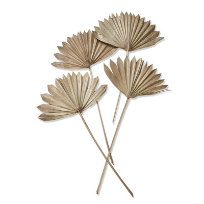 Sun Spear Stick S/4