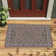 Aloisia Oriental Area Rug