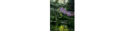 ARTBYLYNNCAROLE.COM logo