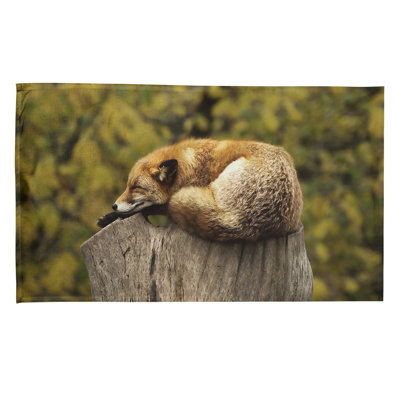 Serviette de thé fox sleep