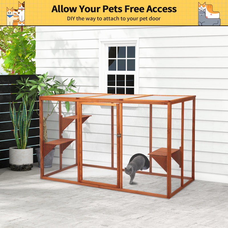 Cat Cage