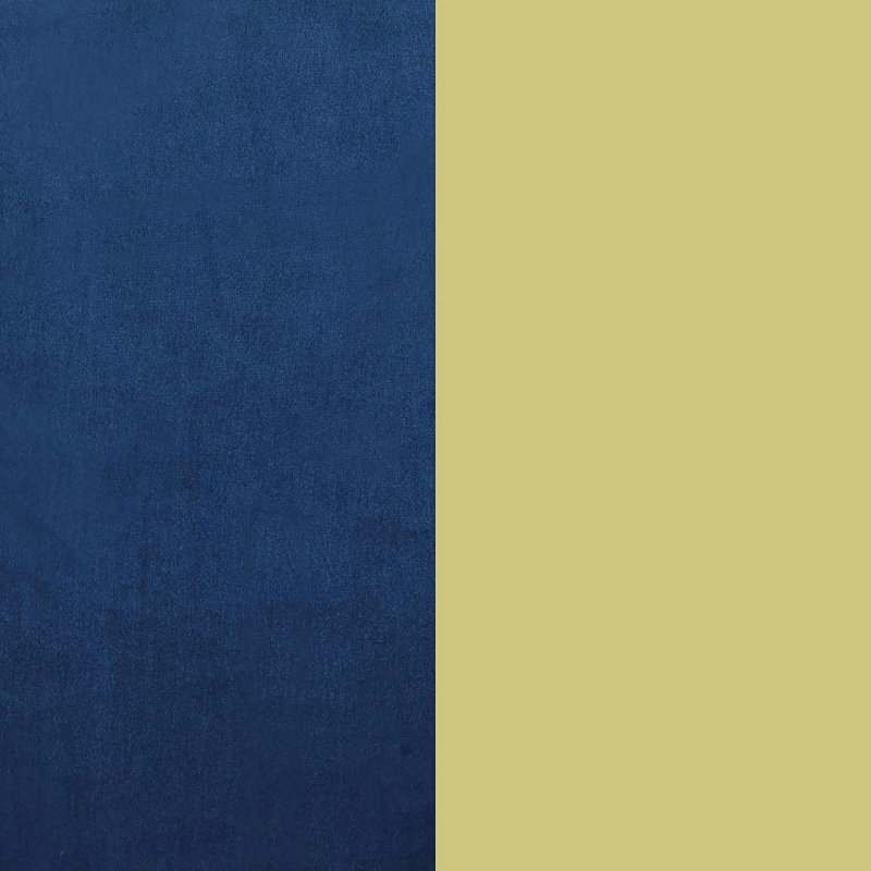 Chaise bleue avec pieds élégants et dorés pour l'ameublement moderne Fauteuil à dossier en velours
