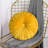 Echo Buttons Velvet Throw Pillow-1771335314