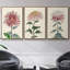 Antique Turpin Botanical VII - Ensemble de 3 reproductions de photos sur toile-97759589-97759594