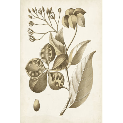 Ochre Botanical II - Wrapped Canvas Print