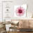Harnek Pink Chrysanthemum