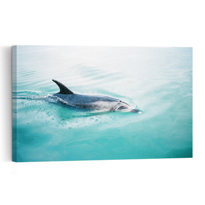 Dolphin N.Z. Northern Contemporary Dolphin Fish Wall Art Print by Raisa Zwart - Print