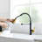 Himimi Kitchen Faucet