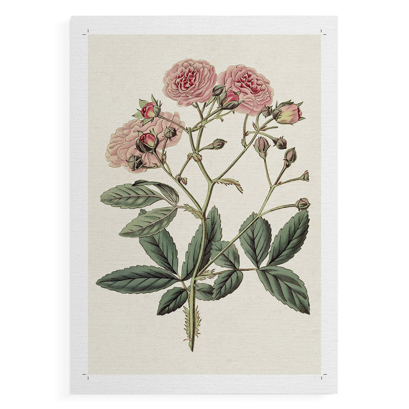 Mélange de fleurs roses en V - impression sur toile seulement - non encadrée, H 48 po x l 32 po