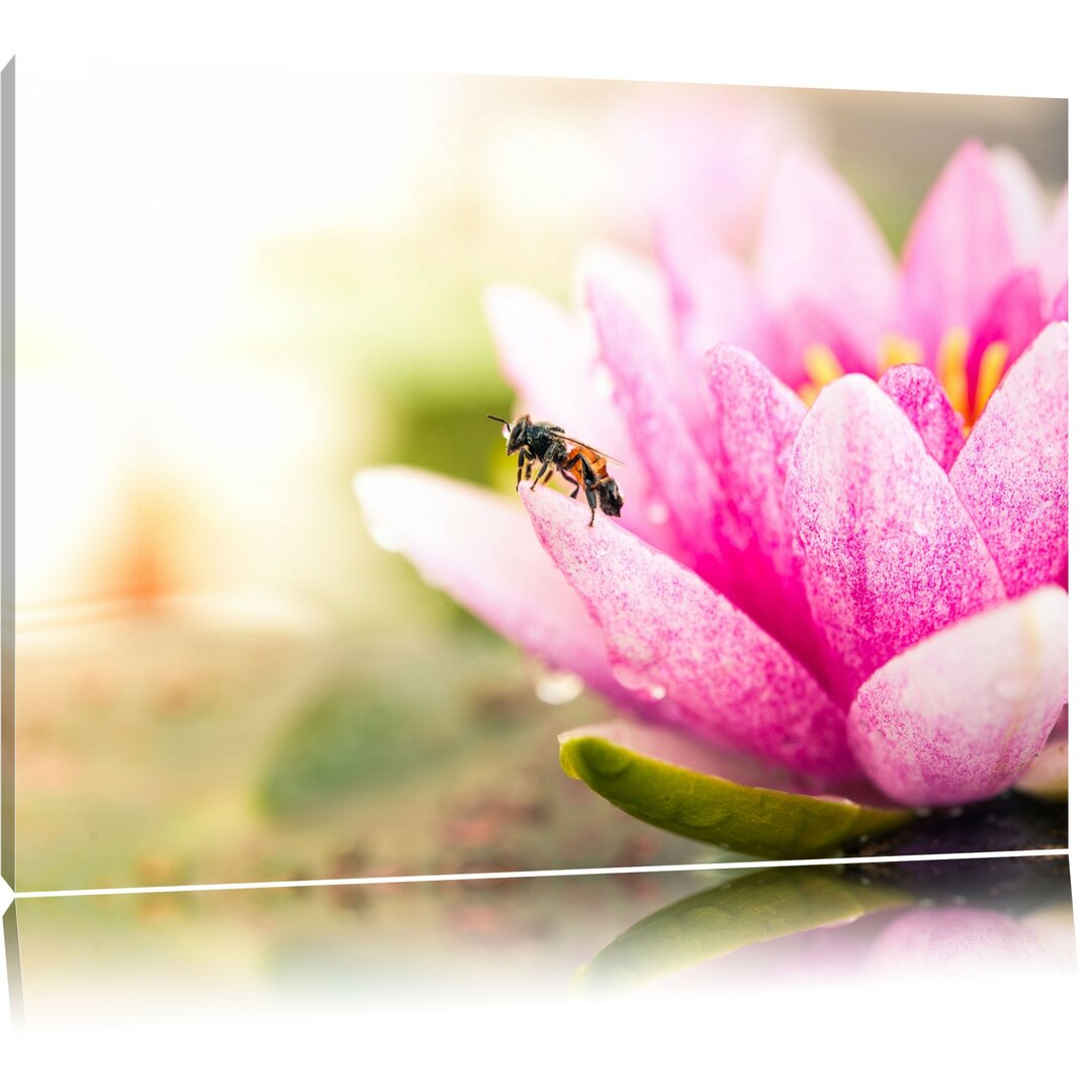 Leinwandbild Winziges Biene auf Seerosenblüte