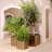 Grid Handmade Metal Planter Box-95370979-95370980