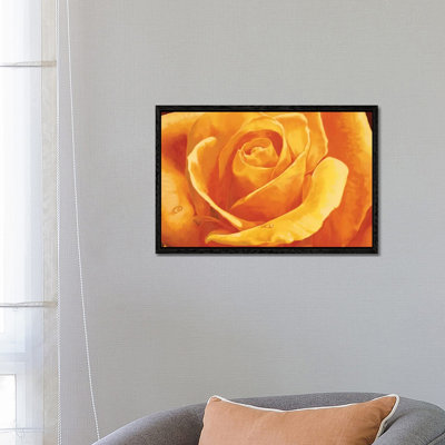 Gaiezza by Stefania Re - Floater Frame Gallery-Wrapped Canvas Giclée on Canvas