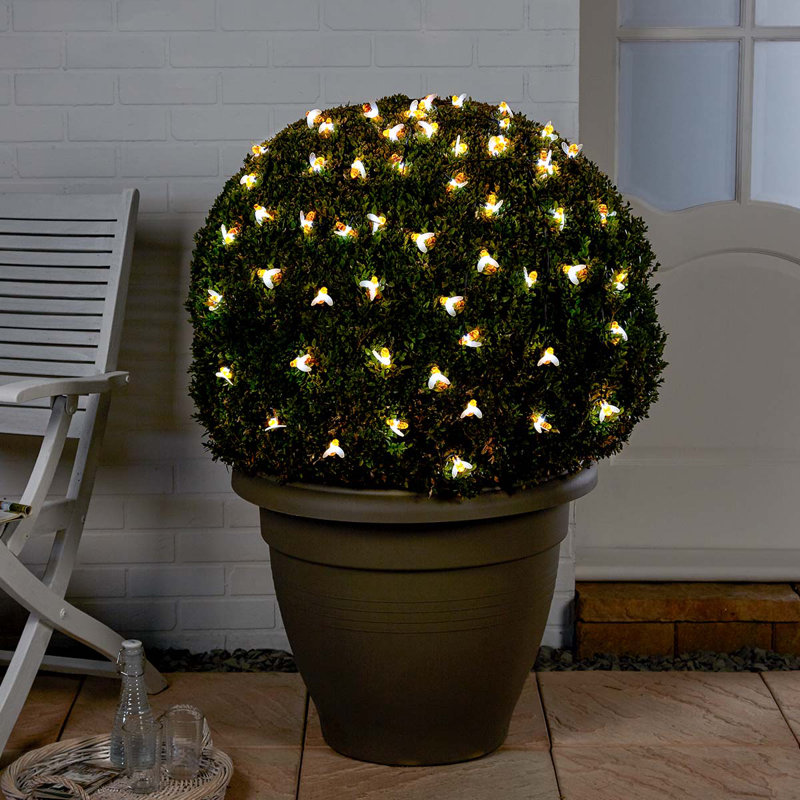 Tackett LED Solar Powered Fairy String Light, White, 5M