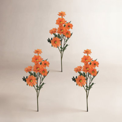 Daisy Floral Stems